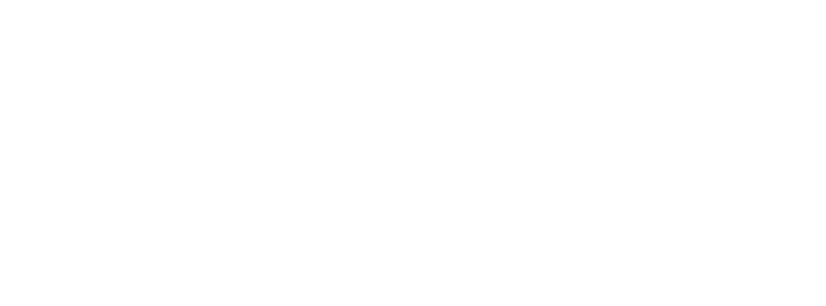OGAUS Technology